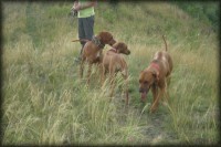/album/rodinka/a4-9-08lexi-036-jpg/